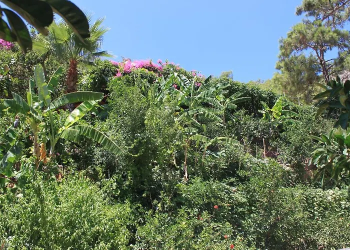 Aygul Ξενοδοχείο