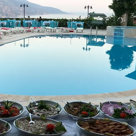 Aygul 酒店