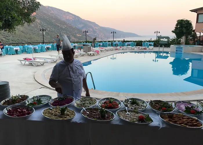 酒店 Aygul 费特希耶