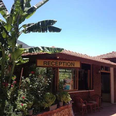 Aygul Otel 3*