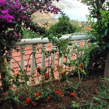 Aygul Otel