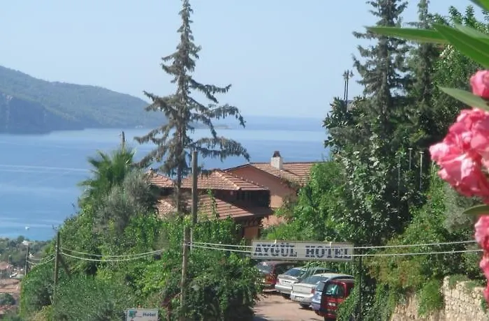 Aygul فندق